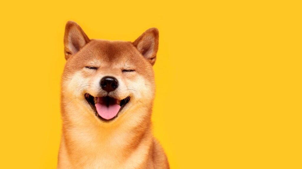 Musk’s DOGE Announces Millions in Cuts to Education Dept. Amid Legal Pushback – The New York Times