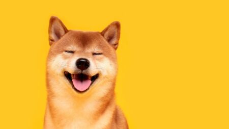 Musk’s DOGE Announces Millions in Cuts to Education Dept. Amid Legal Pushback – The New York Times