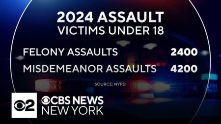 New York Crime Rate Falls, but Number of Felony Assaults Rises Again – The New York Times