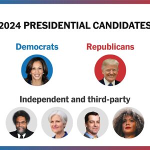 Democrats Are Workshopping New Tactics After Losses of 2024 – The New York Times