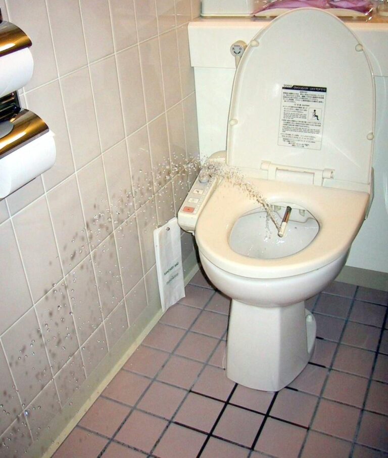 The Rise of the Japanese Toilet – The New York Times
