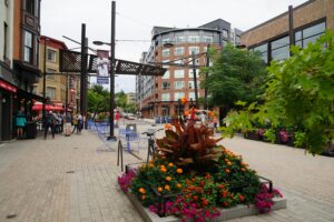 The best towns and small cities in the US: Ithaca, New York state – The Guardian