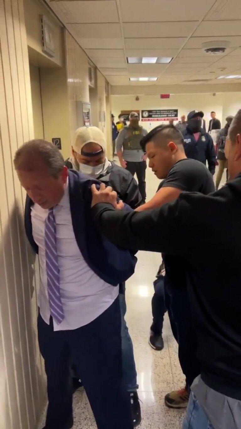 New York City mayoral candidate Brad Lander arrested by Ice agents – The Guardian