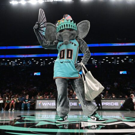Ellie the Elephant: the viral mascot twerking her way into New York lore – The Guardian