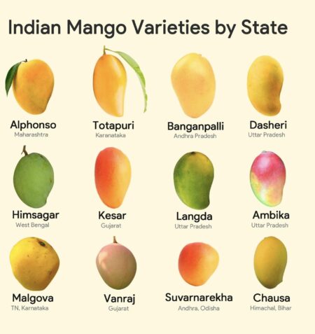 It’s Indian Mango Season, and the Cutthroat Selling Frenzy Is On – The New York Times