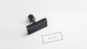 Trump to impose $100,000 fee per year for H-1B visas, in blow to tech – Reuters