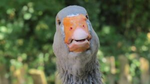 I splurged on a $1,000 room for a 30-hour Amtrak ride. It was the best overnight train experience I’ve had in the US. – Business Insider