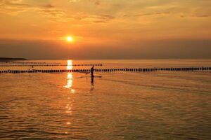 C.E.O.s Hold Their Tongues to Avoid Attracting Trump’s Anger – The New York Times