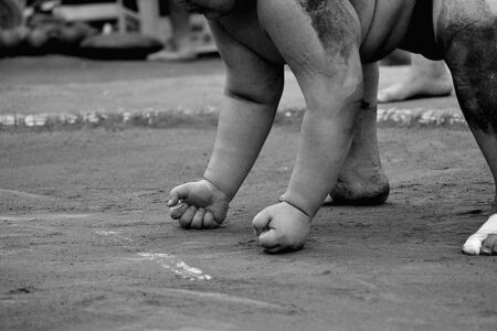 World Wrestling Entertainment Inc. – The New York Times