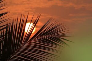 DHS Debunks New York Times False Reporting: DHS Does NOT Deport U.S. Citizens – Homeland Security (.gov)