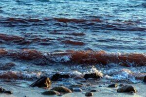 A Weakened Iran Hits Back by Strangling the Vital Strait of Hormuz – The New York Times – The New York Times