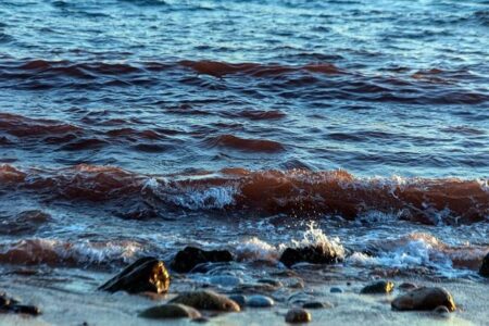 A Weakened Iran Hits Back by Strangling the Vital Strait of Hormuz – The New York Times – The New York Times