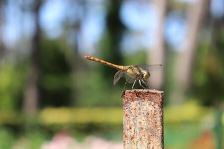 Brilliant Lady is arriving with a shipload of new entertainment options. – Virgin Voyages