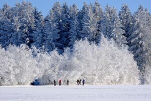 Steven Winter – Crain’s New York Business