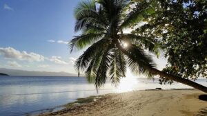Love Island USA returns to Fiji for a new season – Democrat and Chronicle