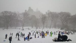 New York central park stabbing attack: Suspect arrested as police investigate possible hate crime – WION