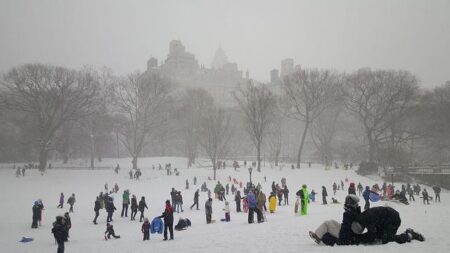New York central park stabbing attack: Suspect arrested as police investigate possible hate crime – WION