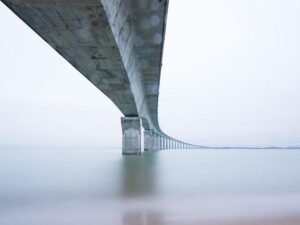 Why Polarization Is a Problem – Andrew Carnegie Foundation