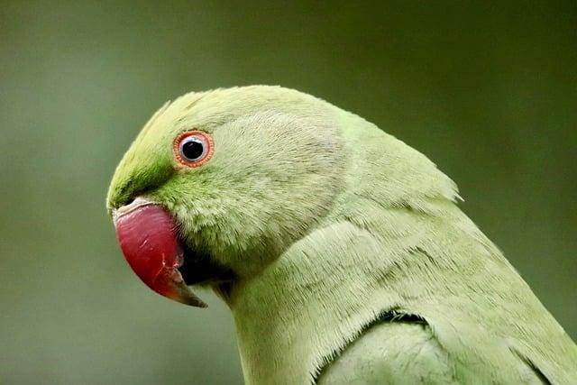 Alexander Zverev vs Ben Shelton: Your Ultimate Guide to the US Open Men’s Singles Final Alexander Zverev vs Ben Shelton: US Open men’s singles final – all to know – Al Jazeera