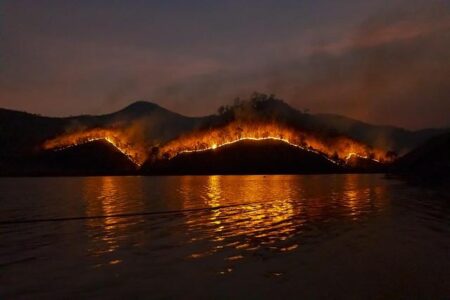 Toxic Wildfire Smoke from Canada Engulfs the US Midwest and Northeast Canada wildfire smoke blankets US Midwest, Northeast with hazardous air – reuters.com