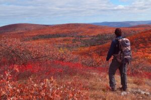 What planned mass visa revocations could mean in Upstate New York – spectrumlocalnews.com