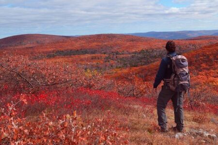 What planned mass visa revocations could mean in Upstate New York – spectrumlocalnews.com