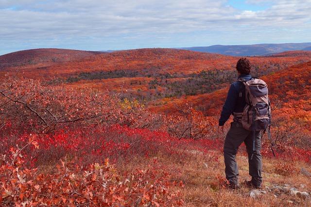 How Planned Mass Visa Revocations Could Transform Upstate New York’s Future What planned mass visa revocations could mean in Upstate New York – spectrumlocalnews.com