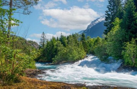 Norway’s $2 trillion sovereign fund proposes deep cuts to US Treasury holdings – Reuters